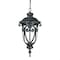 Homeroots 20.5 x 9.38 x 9.38 in. Naples 1-Light Marbelized Mahogany Hanging Light 397969 - alternate 5